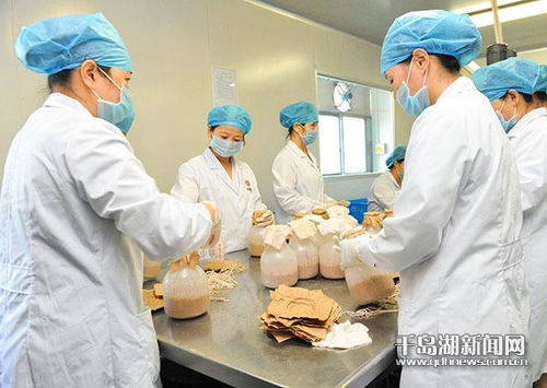 天曲生物 一線生產(chǎn)忙